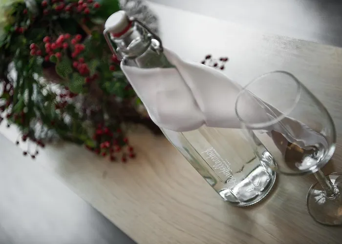 Der Burgfellnerhof - Adults Only 4* שלאדמינג